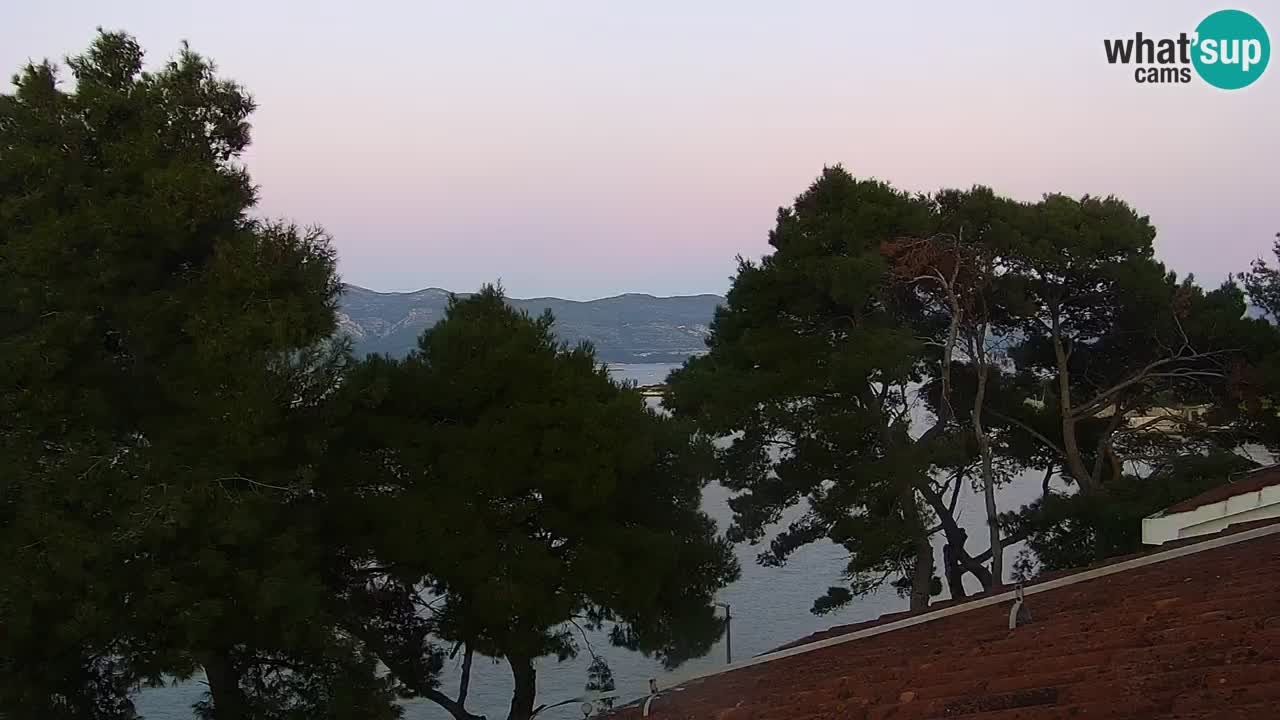 Lumbarda Resort camera en vivo Korčula