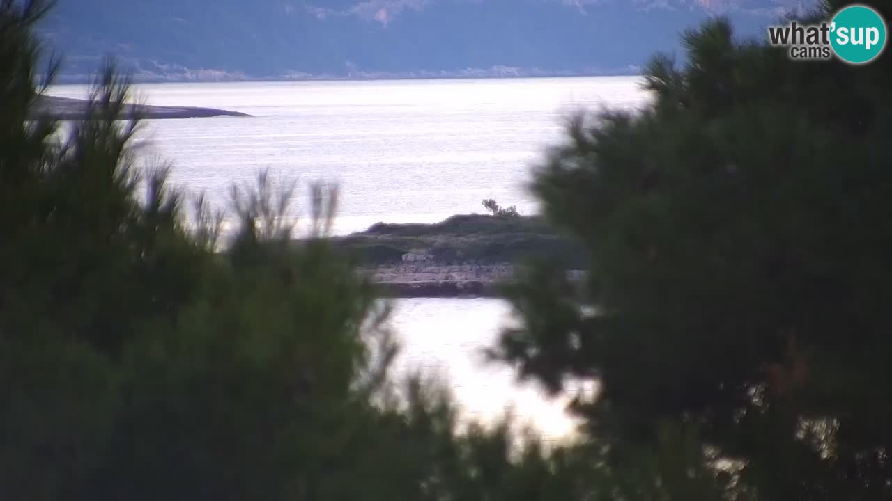 Lumbarda Resort live cam Curzola