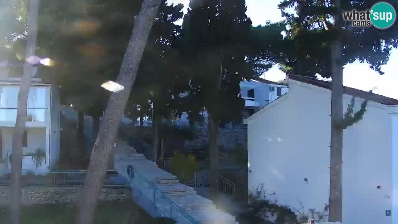 Lumbarda resort – livecam Korčula
