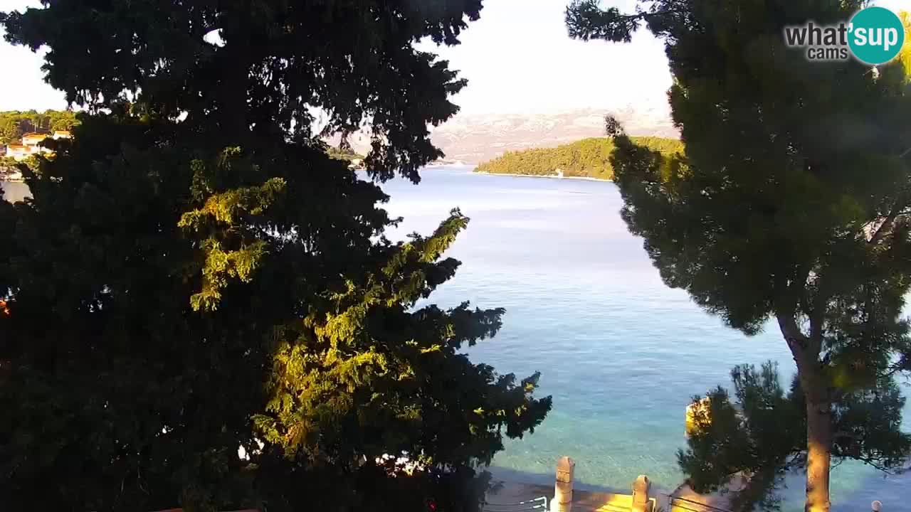 Lumbarda Resort camera en vivo Korčula