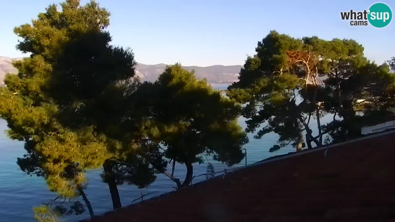 Lumbarda resort Spletna kamera Korčula