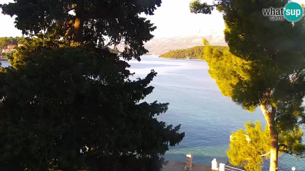 Lumbarda resort Webcam Korčula