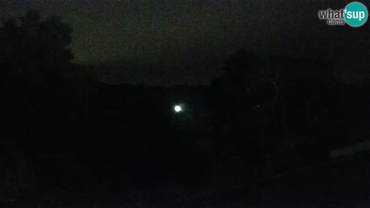 Lumbarda Resort webcam Kurzel