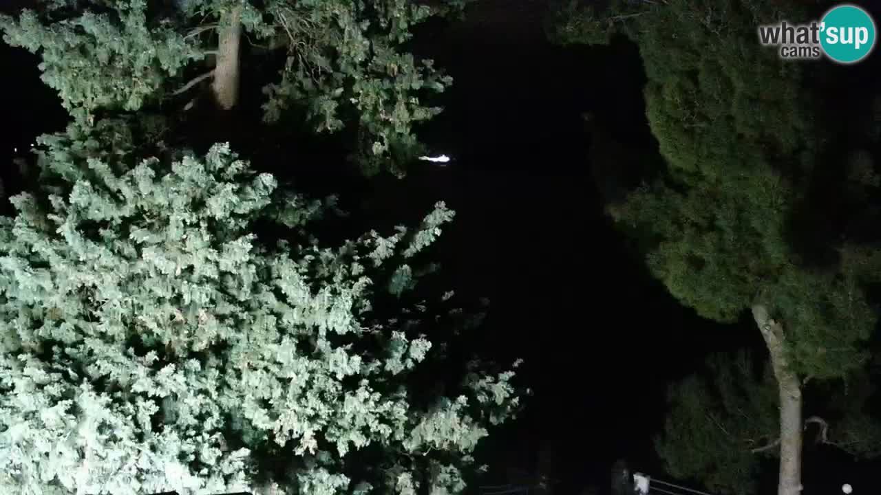 Lumbarda Resort webcam Kurzel