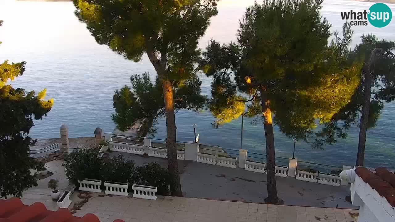 Lumbarda resort Spletna kamera Korčula