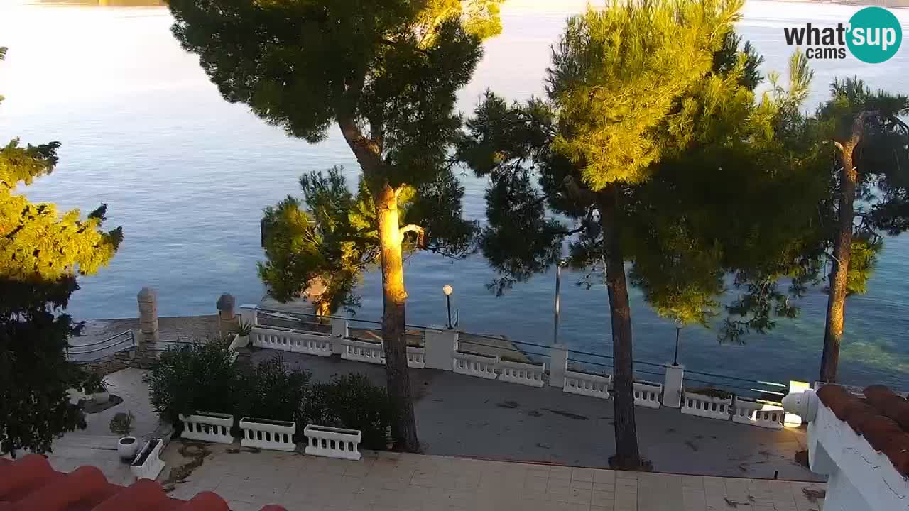 Lumbarda resort Webcam Korčula