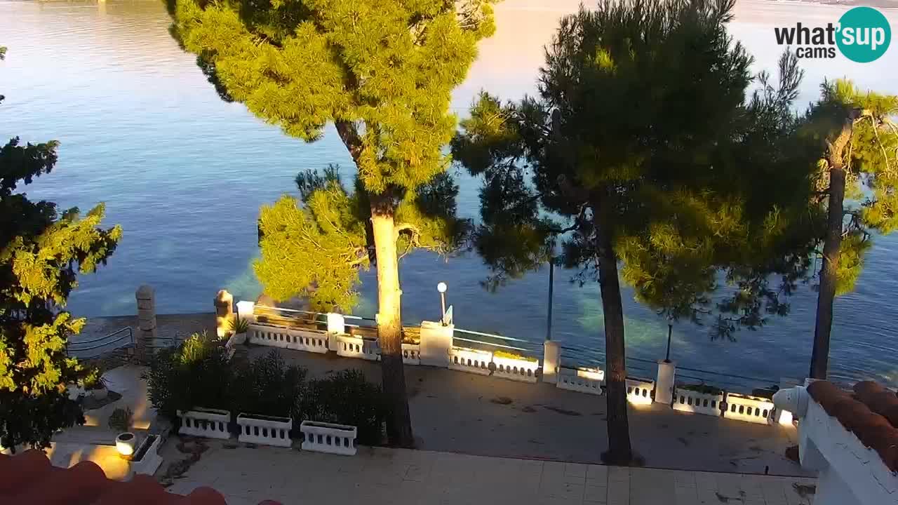 Lumbarda Resort webcam Kurzel