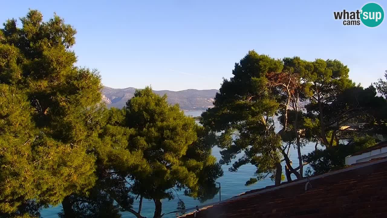 Lumbarda resort – livecam Korčula