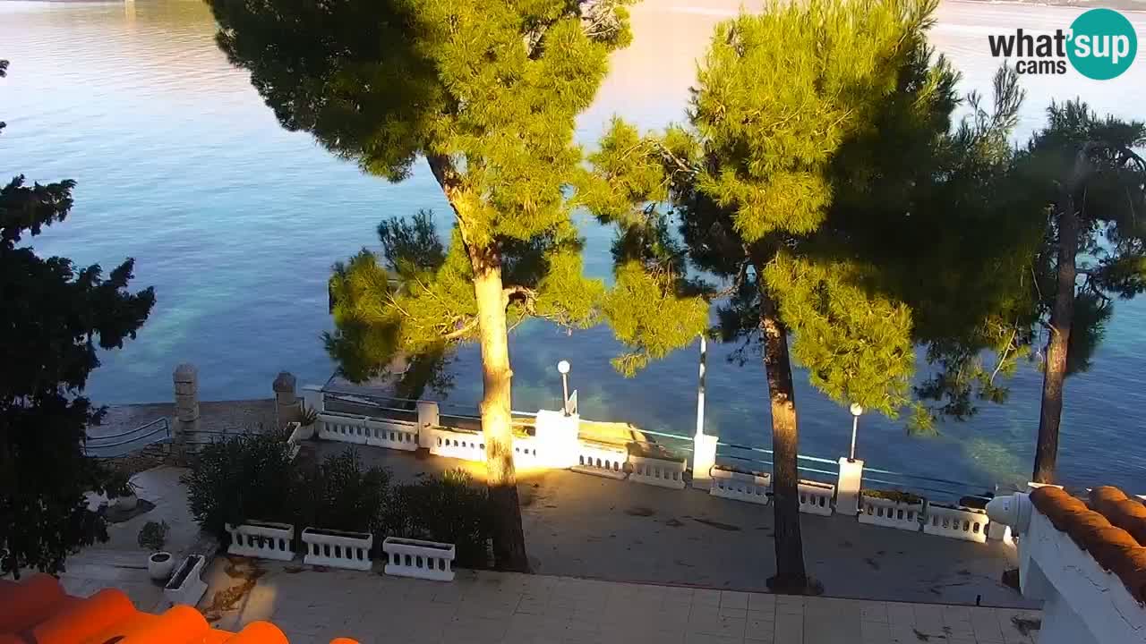 Lumbarda Resort camera en vivo Korčula