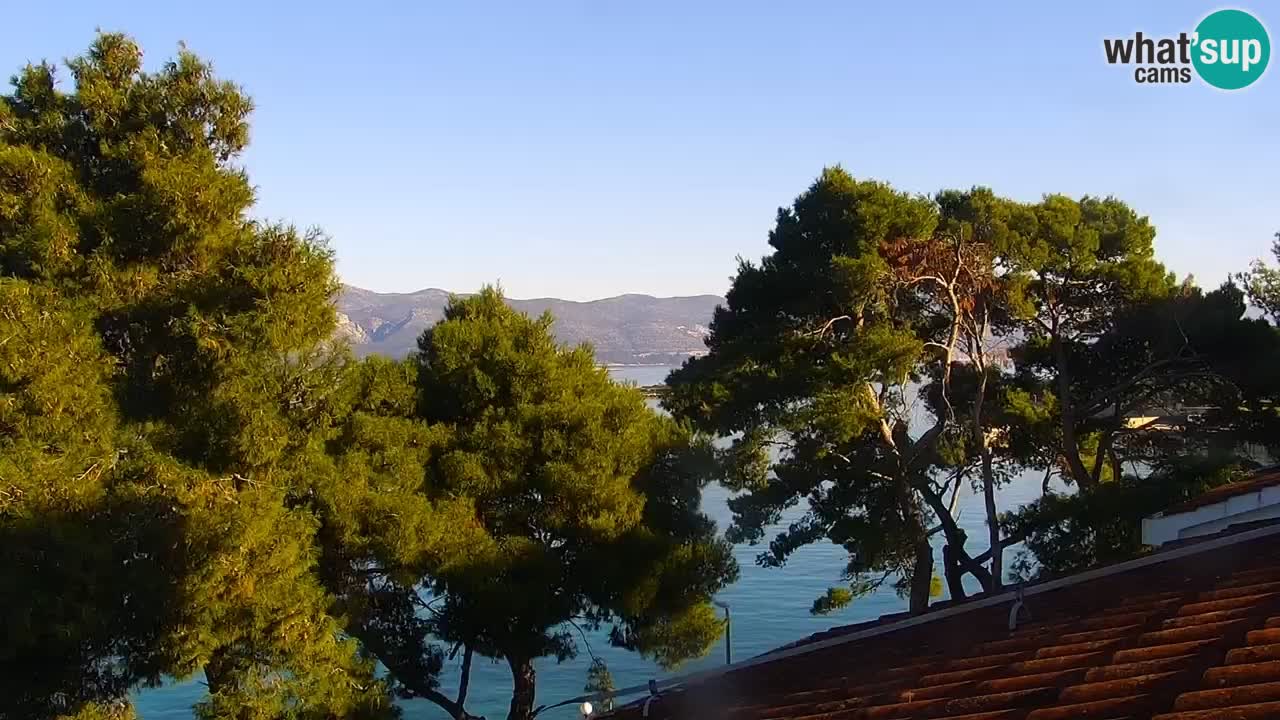 Lumbarda resort Webcam Korčula