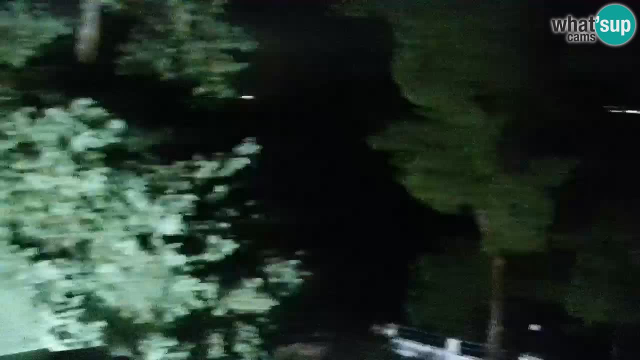 Lumbarda Resort webcam Kurzel