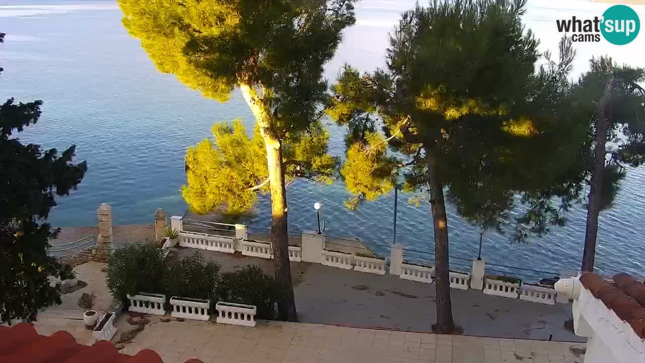Lumbarda resort Webcam Korčula
