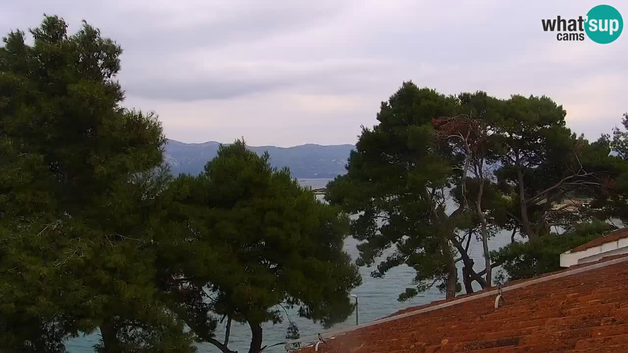 Lumbarda resort Spletna kamera Korčula