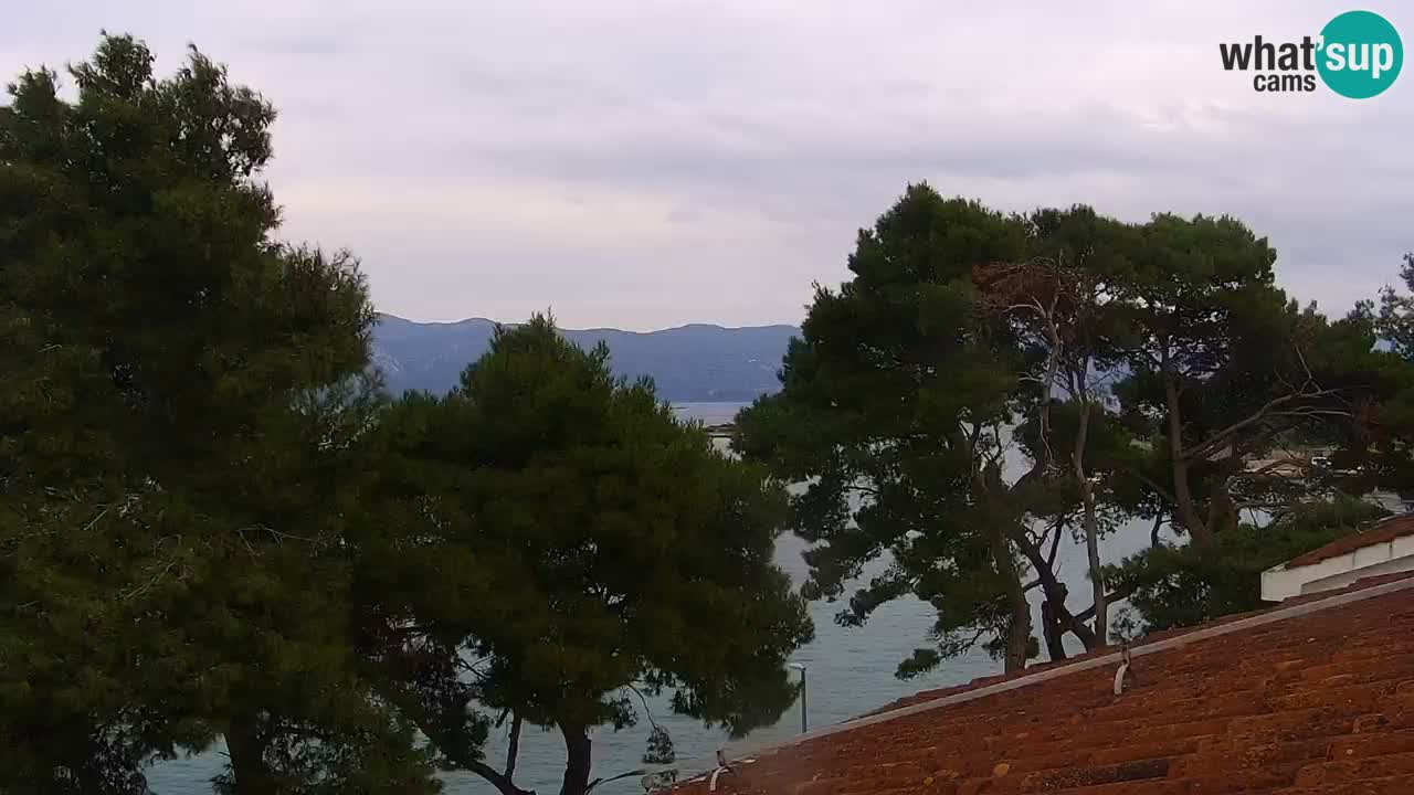 Lumbarda Resort camera en vivo Korčula