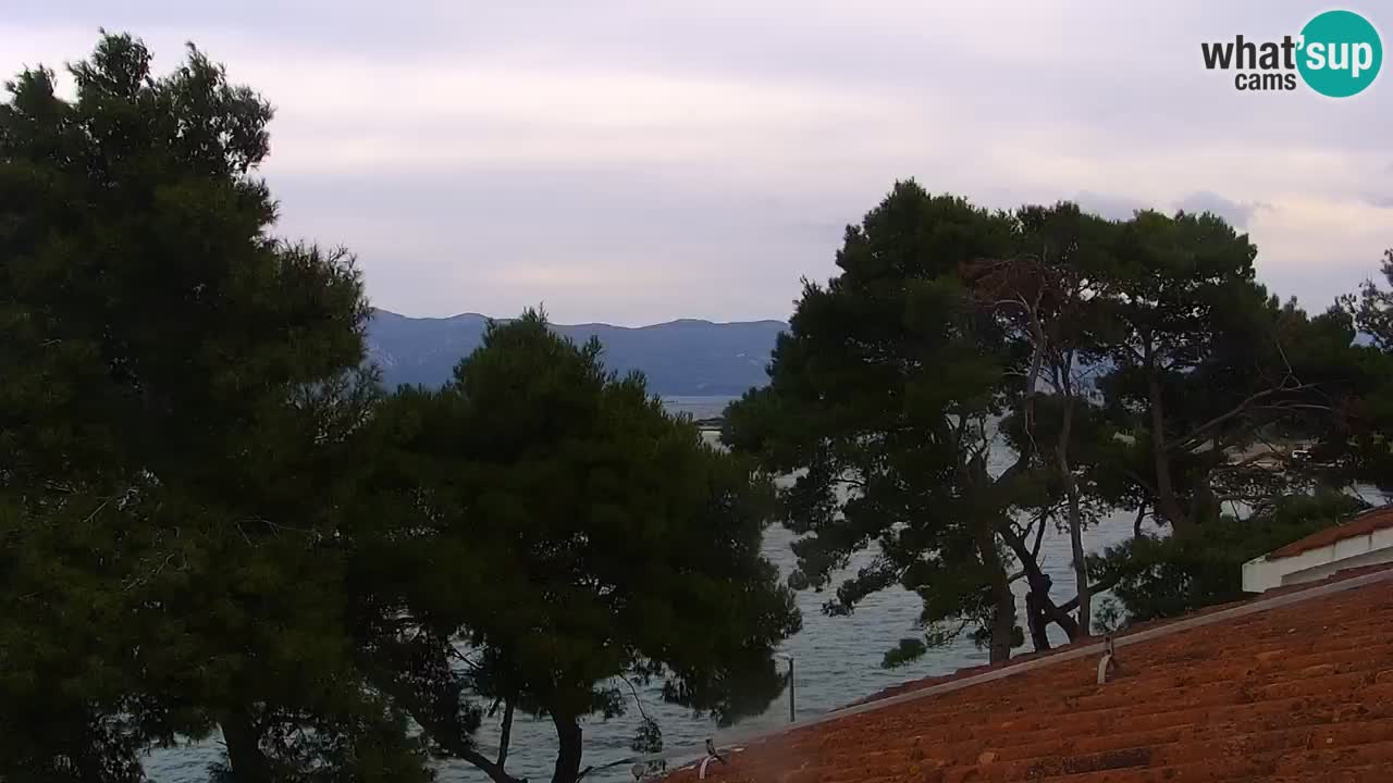 Lumbarda resort Web Kamera Korčula