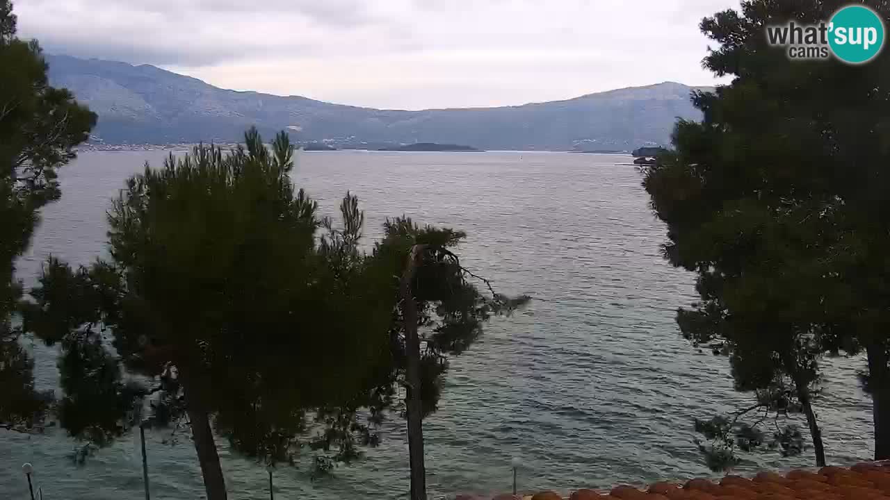 Lumbarda Resort camera en vivo Korčula