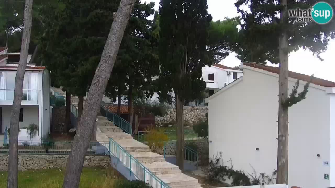 Lumbarda Resort camera en vivo Korčula