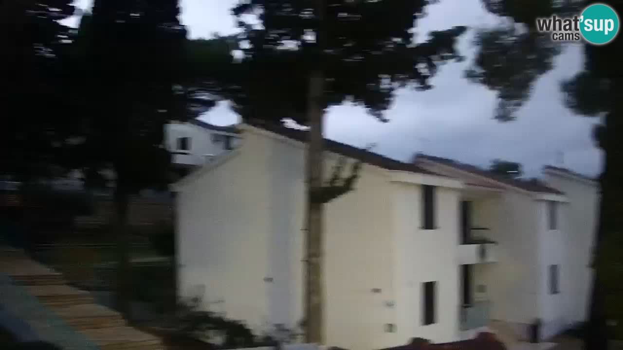 Lumbarda Resort camera en vivo Korčula