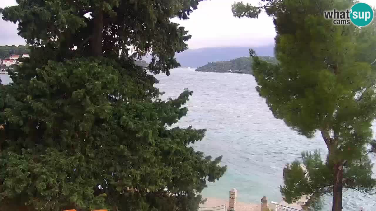 Lumbarda Resort camera en vivo Korčula