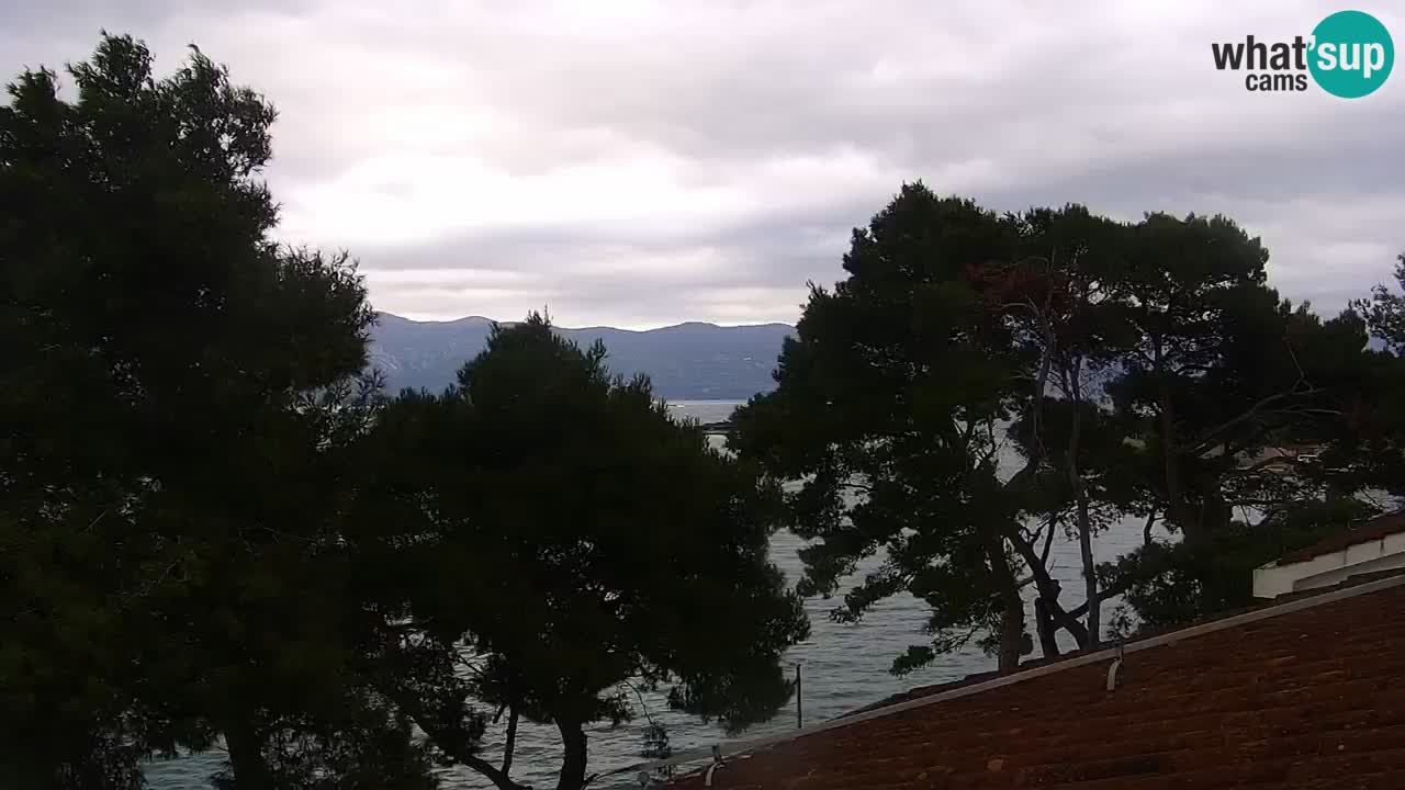 Lumbarda resort Webcam Korčula