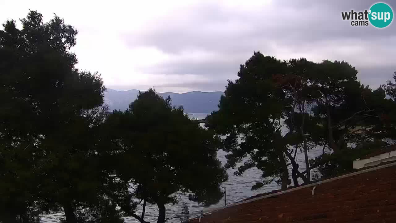 Lumbarda resort Spletna kamera Korčula