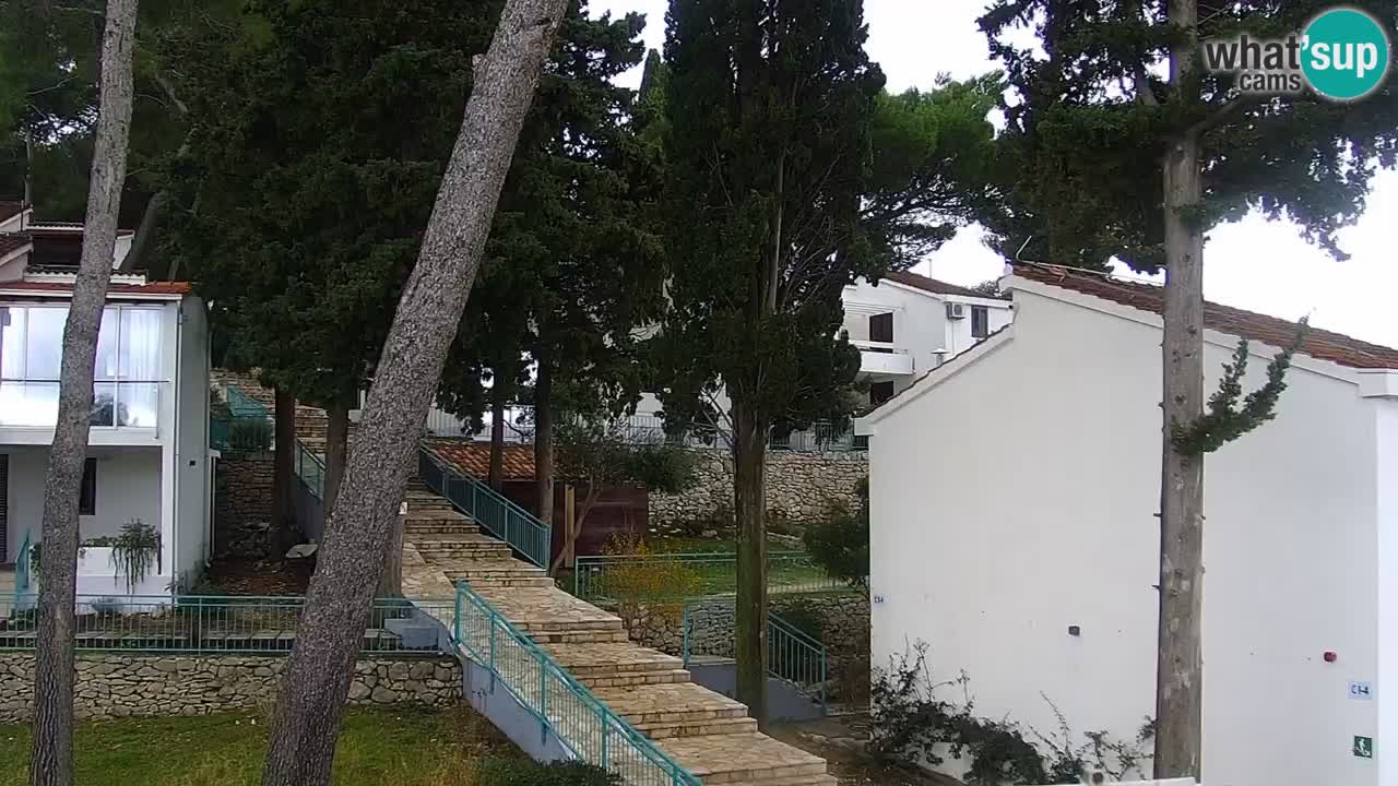 Lumbarda Resort webcam Kurzel