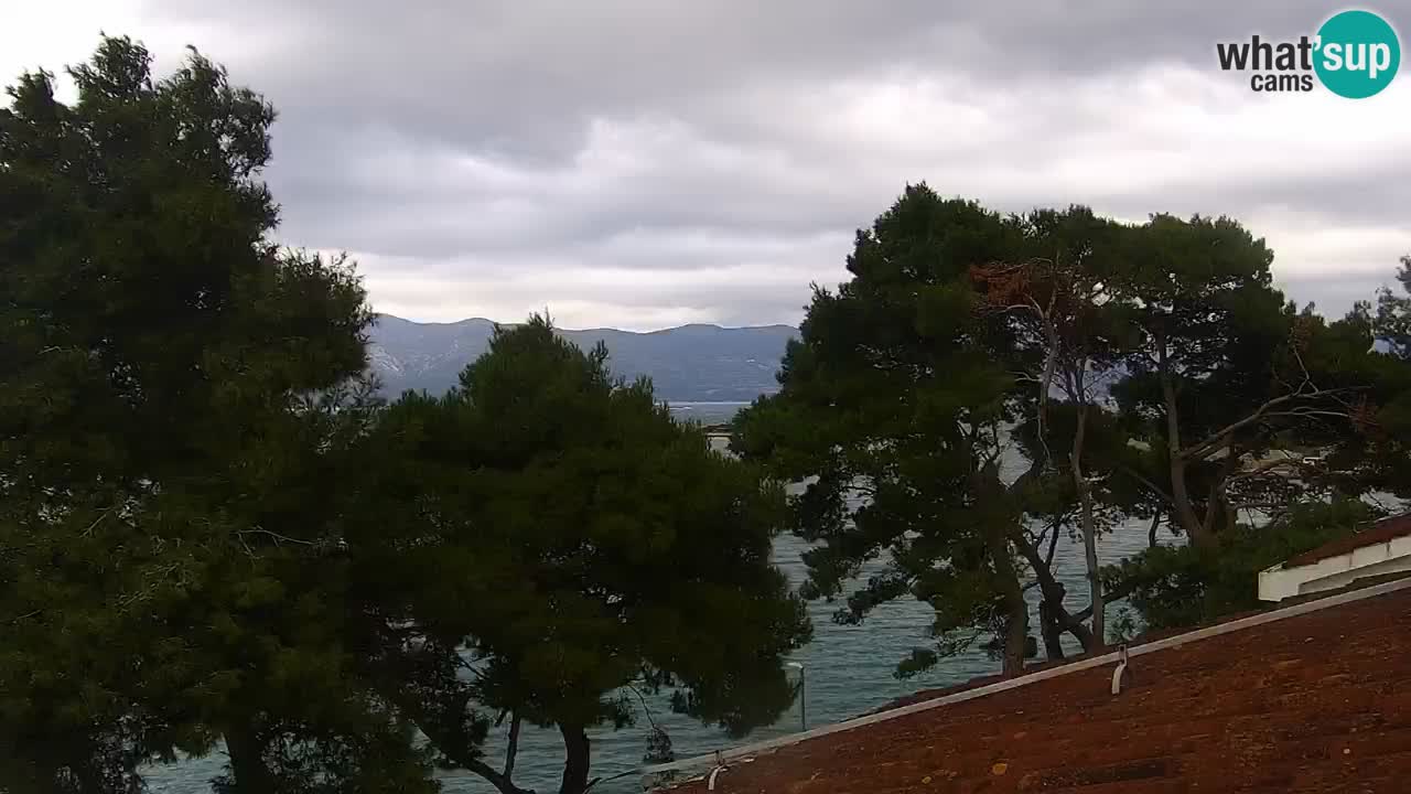 Lumbarda resort – livecam Korčula