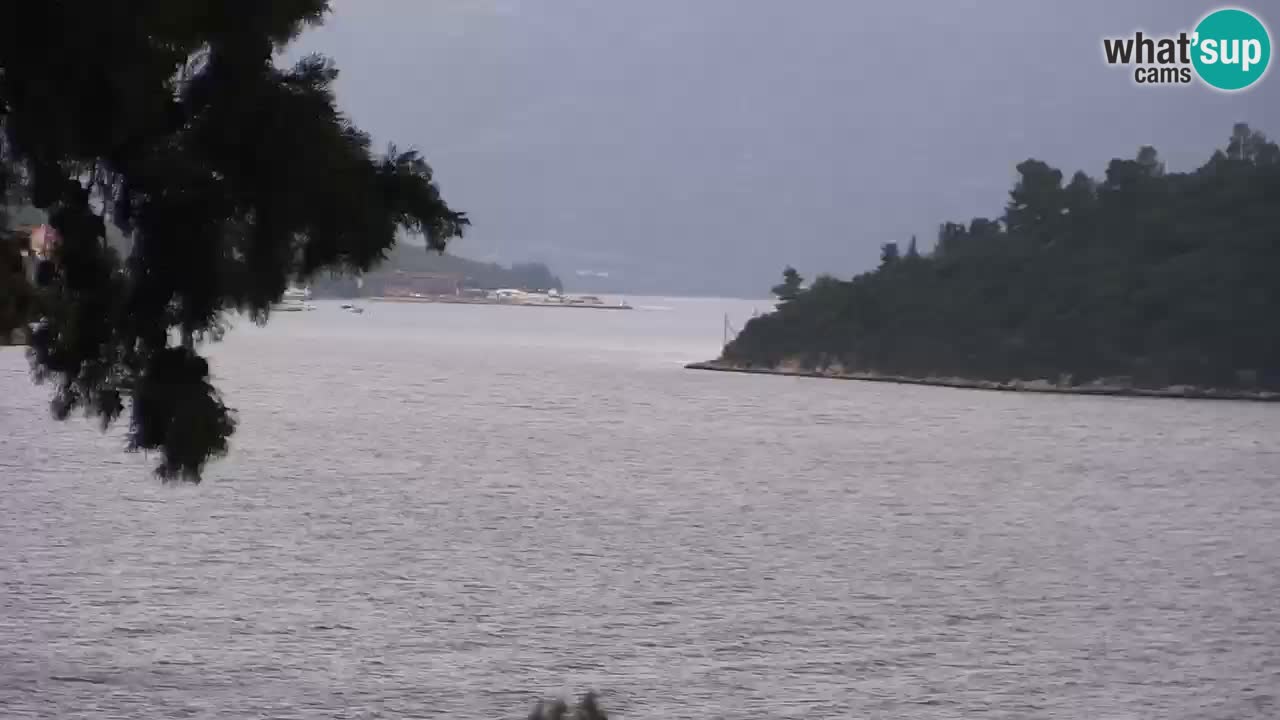 Lumbarda resort Webcam Korčula