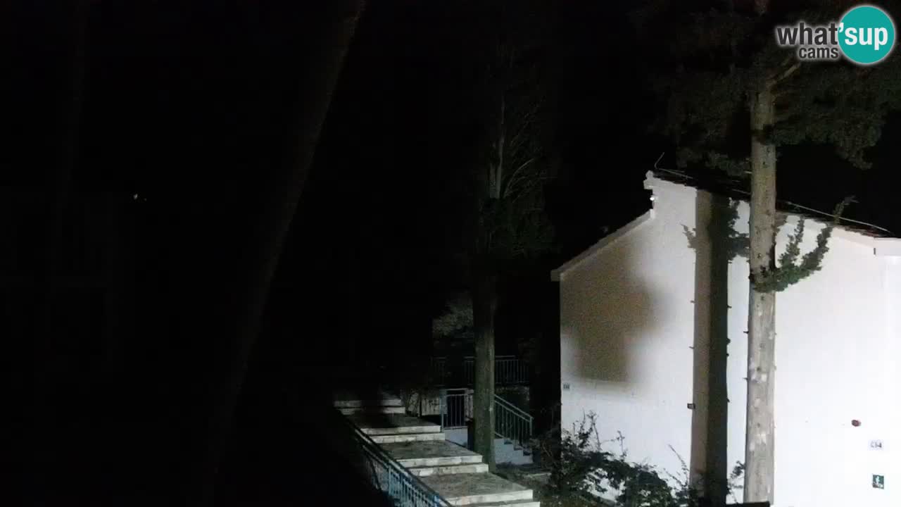 Lumbarda resort Spletna kamera Korčula