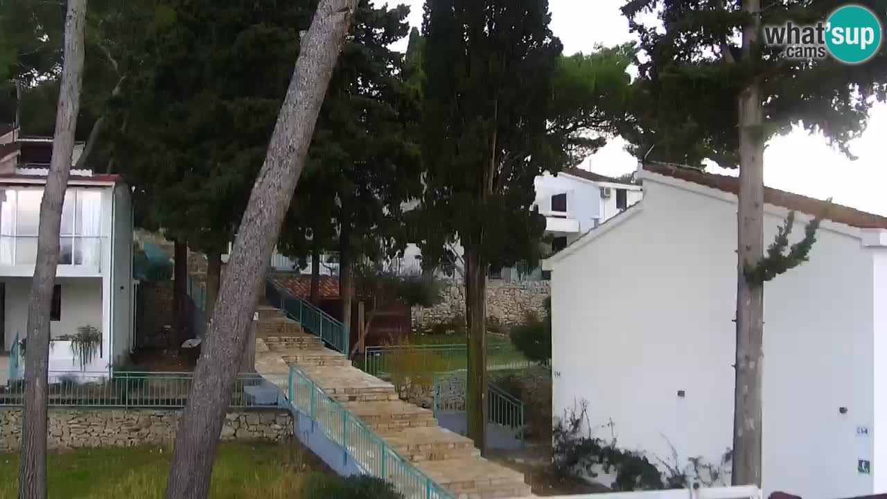 Lumbarda resort – livecam Korčula
