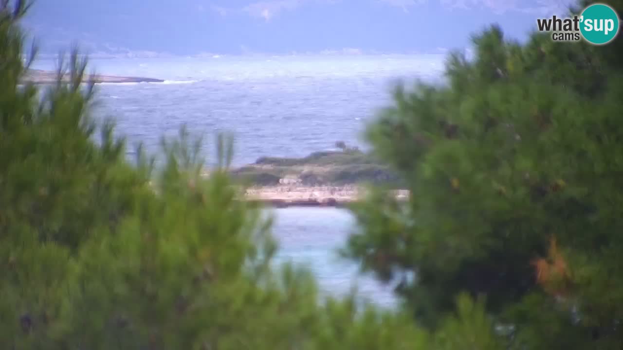 Lumbarda resort – livecam Korčula
