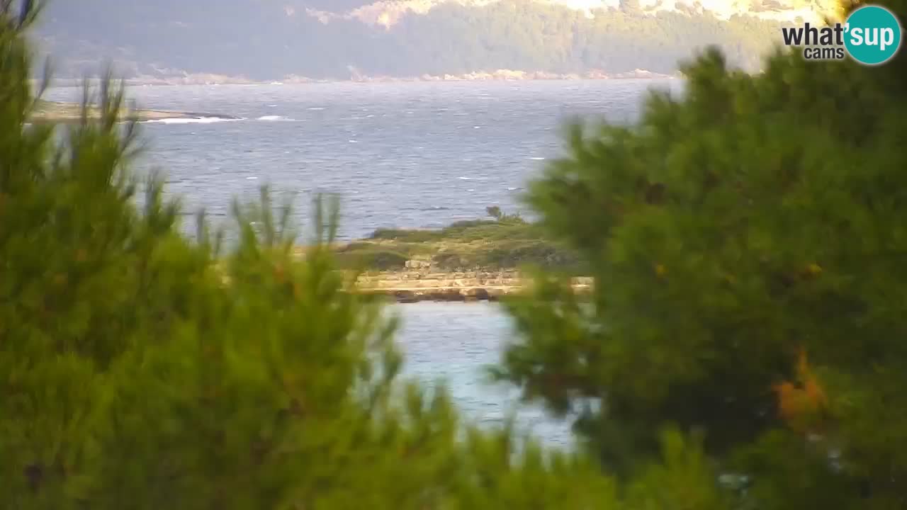 Lumbarda Resort camera en vivo Korčula