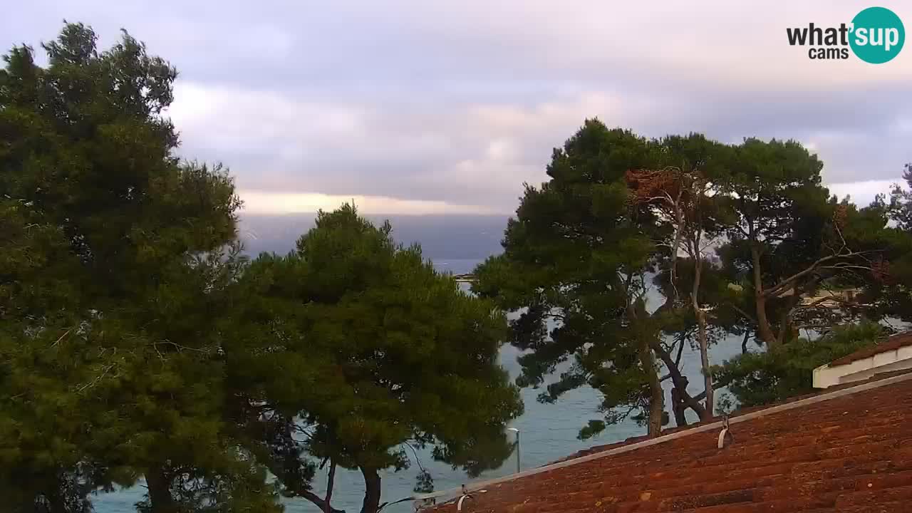 Lumbarda Resort live cam Curzola