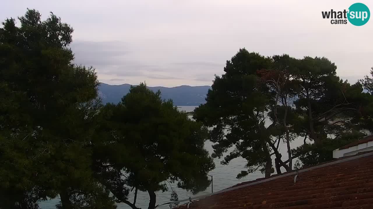 Lumbarda resort Web Kamera Korčula