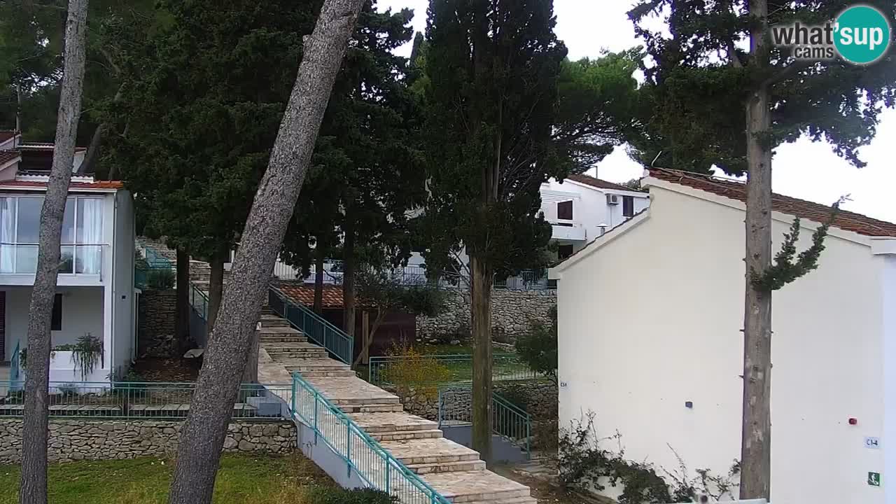 Lumbarda resort Spletna kamera Korčula