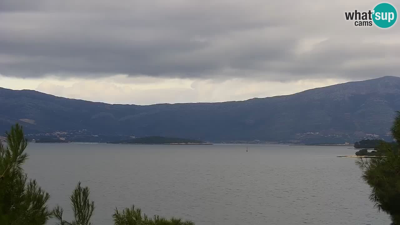 Lumbarda resort – livecam Korčula