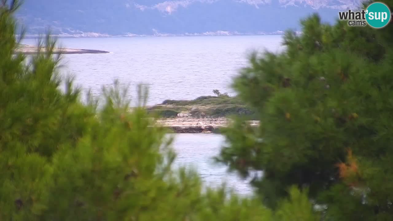 Lumbarda Resort live cam Curzola