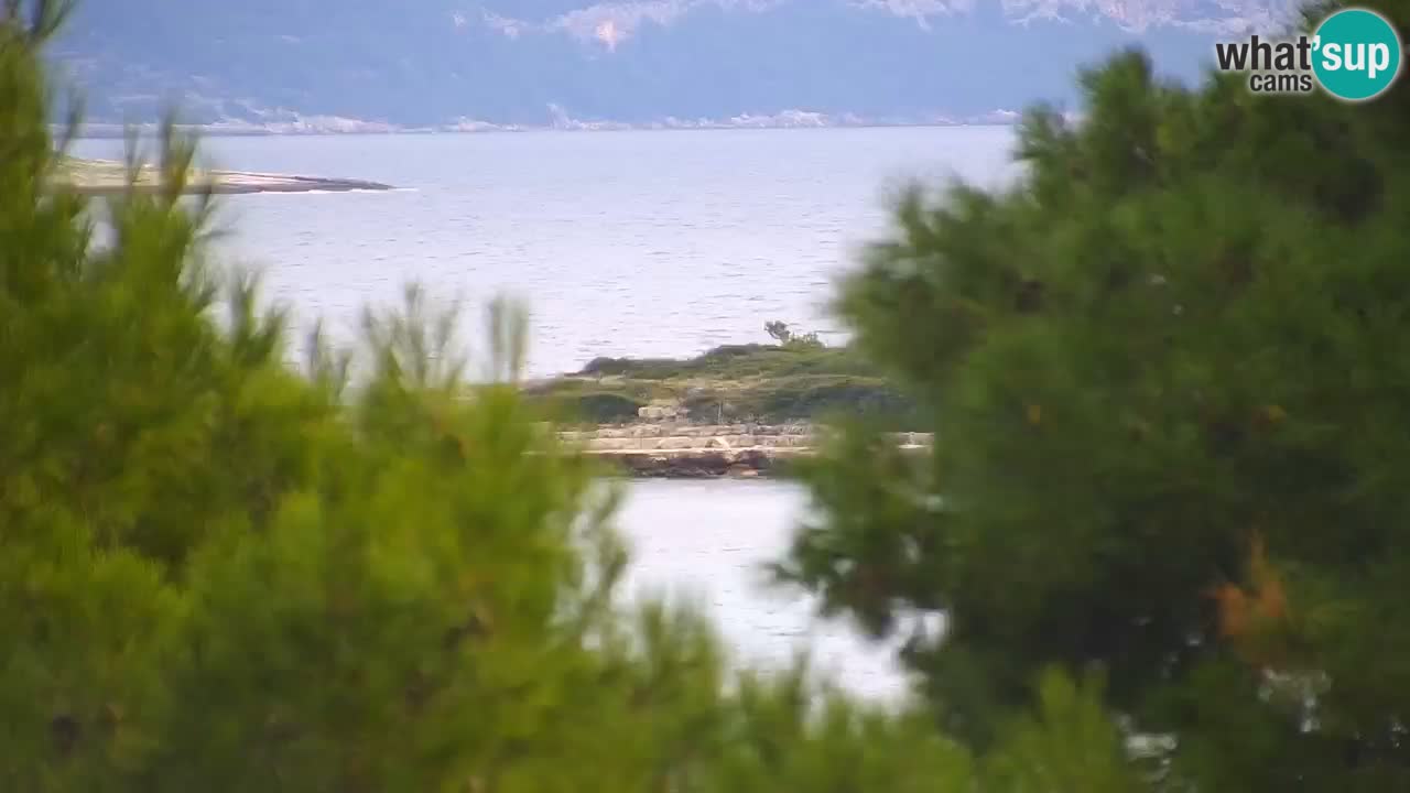 Lumbarda resort Spletna kamera Korčula