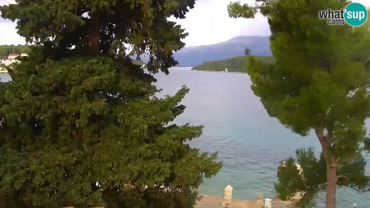 Lumbarda Resort camera en vivo Korčula