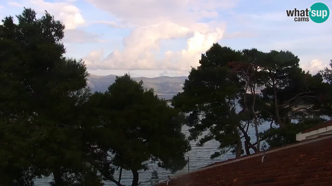 Lumbarda Resort camera en vivo Korčula