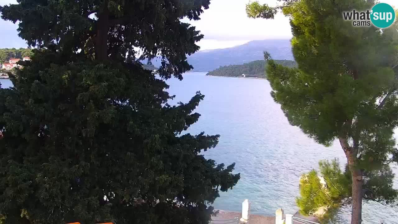 Lumbarda resort Webcam Korčula