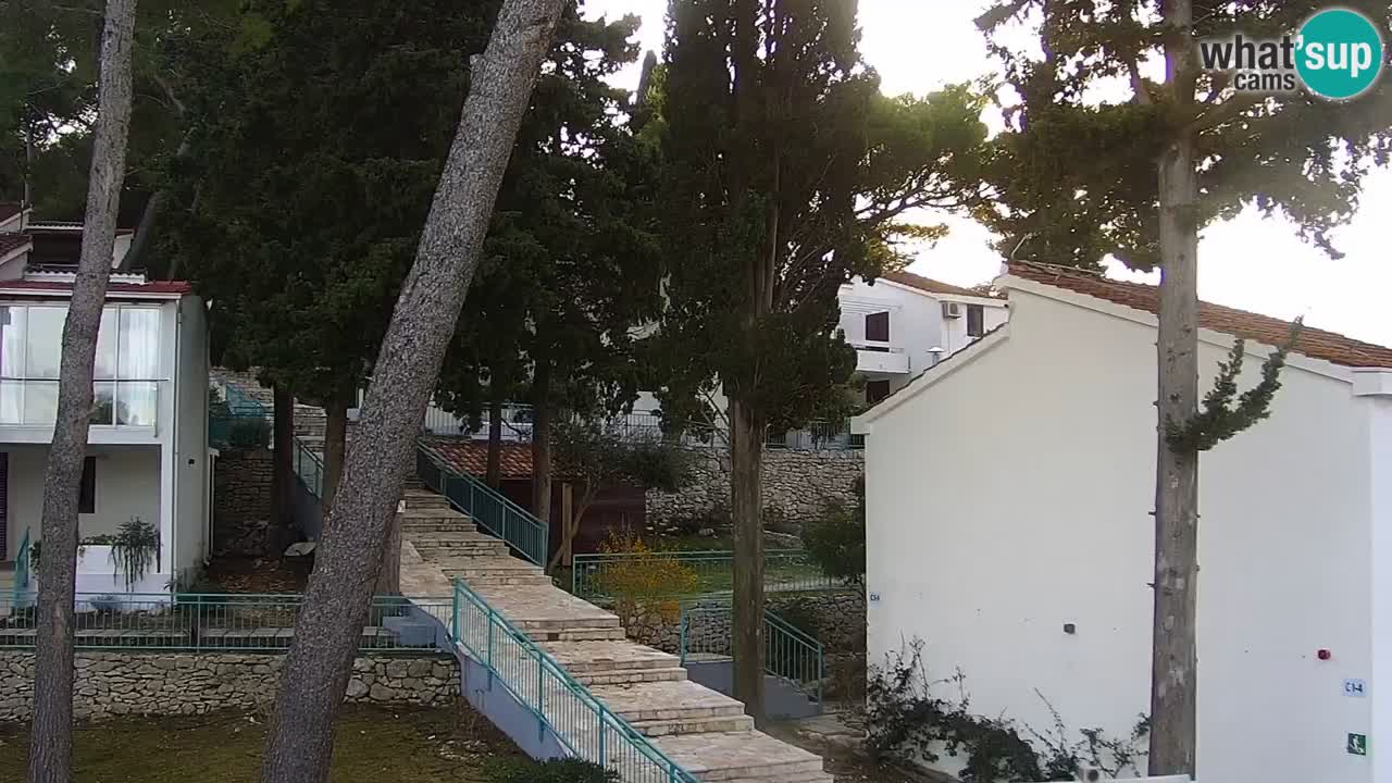 Lumbarda Resort camera en vivo Korčula