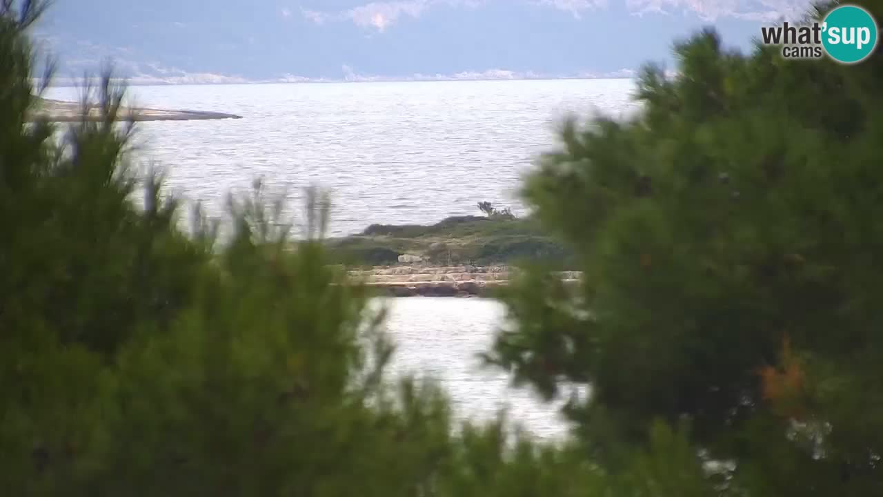 Lumbarda Resort camera en vivo Korčula