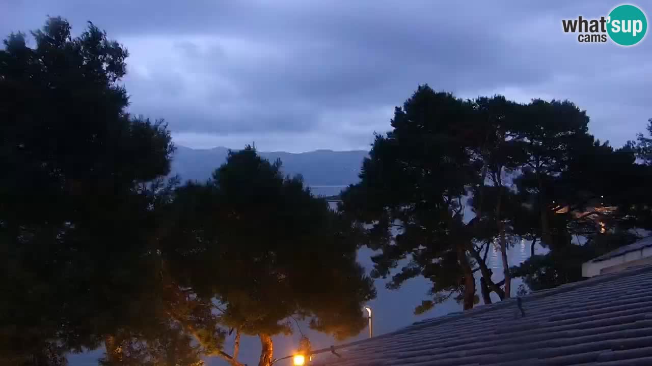 Lumbarda Resort camera en vivo Korčula