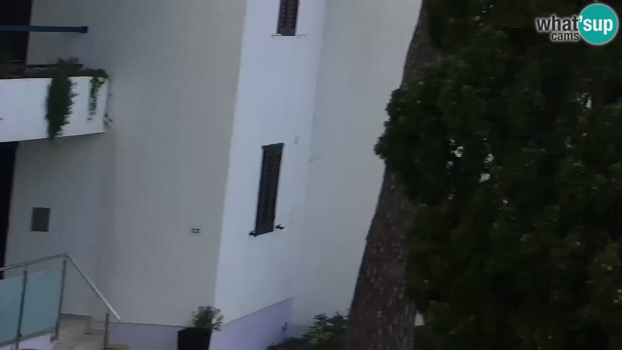 Lumbarda resort – livecam Korčula