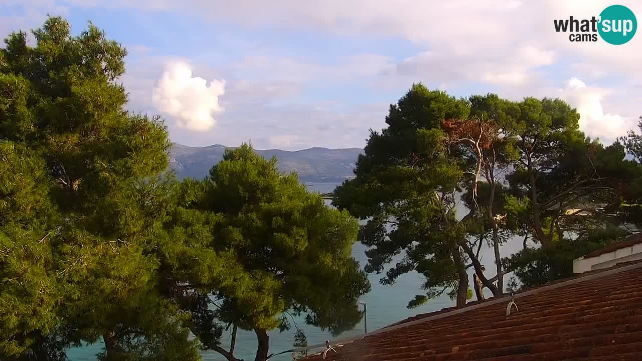 Lumbarda Resort camera en vivo Korčula