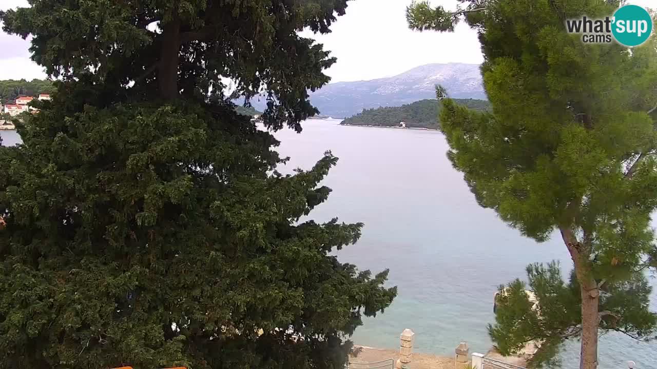 Lumbarda Resort live cam Curzola