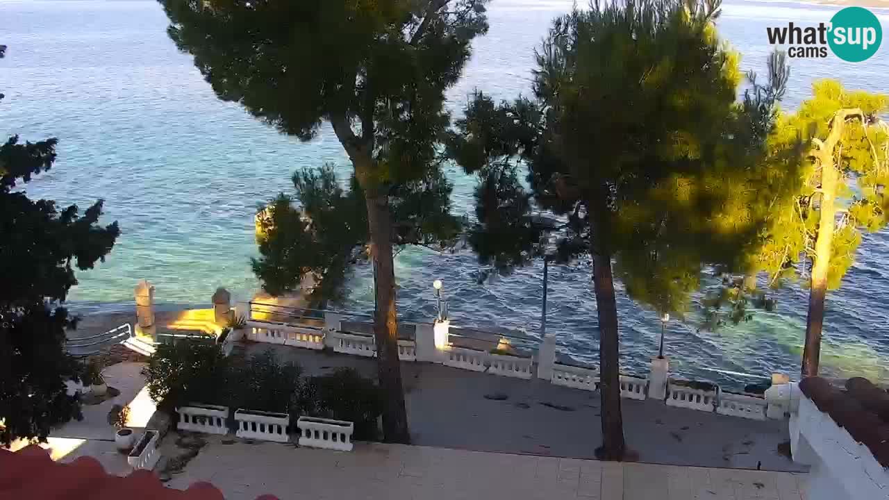 Lumbarda Resort camera en vivo Korčula