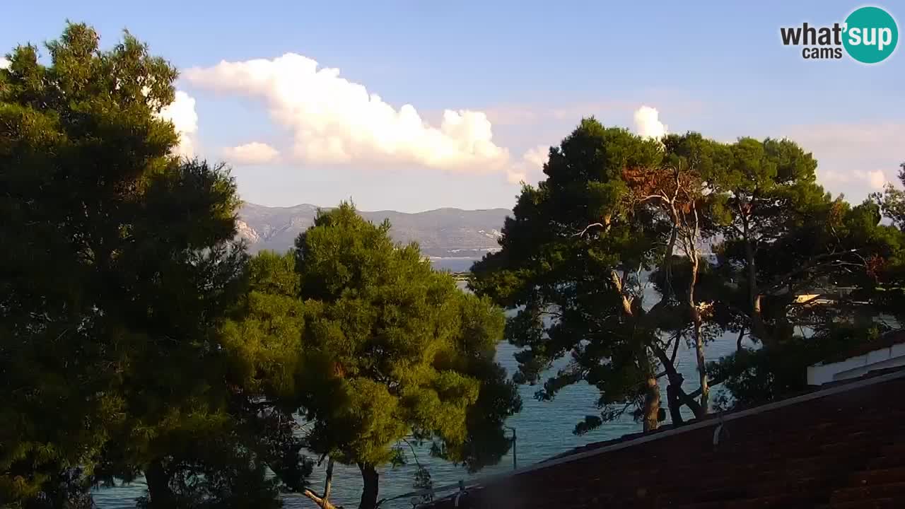 Lumbarda resort Webcam Korčula
