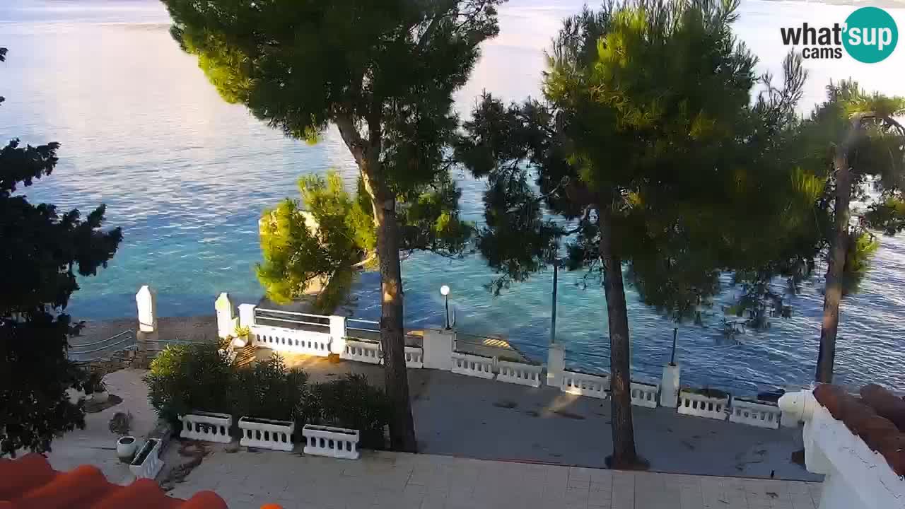 Lumbarda resort Webcam Korčula